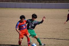 cf8e6aeb48f7b246261901989991ef934_4823040878730435459_221211_7