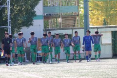 f77d43d6e0f9bc15331d267876a66a21