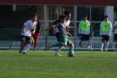 21975c1f0ff6eddc523805af3d90d4e7