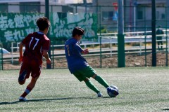 d12adb8e69b4a56efa671d771a93f2cb