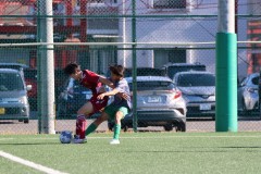 f99e1bc2b211a6fcc3843ad5fb94e098