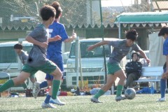 1d013168a46d945980d5dd51692ff0f1