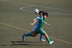 b8fccb9f1d9ef9bc02c51a39e4150a10