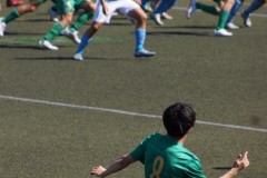 c3166846bf14dbf3b8f39d744cc83605