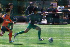 84efdf47cc7f639c90daeb592f46accf