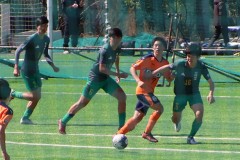 9778efad882183f567f23526cee228ff