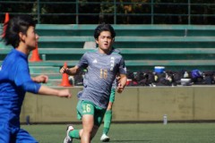 3980114ccc2cf21a352eec6edb0b17ad