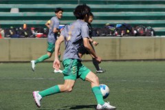 523a16877de2d2c6a4e264172a08004e